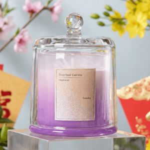 u_nanh_chillme_nap_chup_thuy_tinh_sang_trong_candles_khu_mui_trang_tri_929202a5f9a34670be611e53b4463c16_master Nến thơm phòng quà tặng sáp đậu nành nắp chụp thuỷ tinh sang trọng khử mùi trang trí